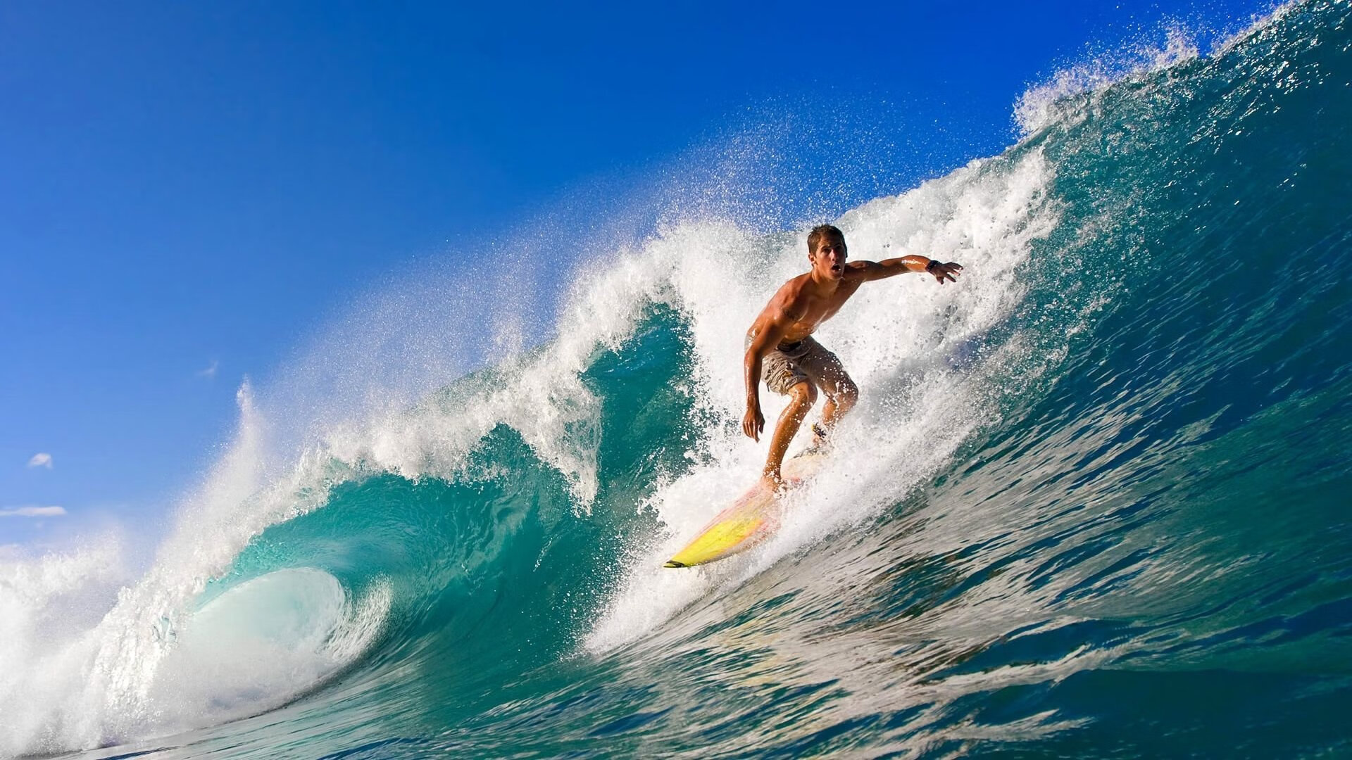 开云体育在线赛事直播-城市体育场馆数字化管理系统正式投入使用，体育场馆智慧管理系统