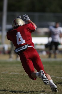 开云官网首页-球队技战术执行力评估，战术执行能力